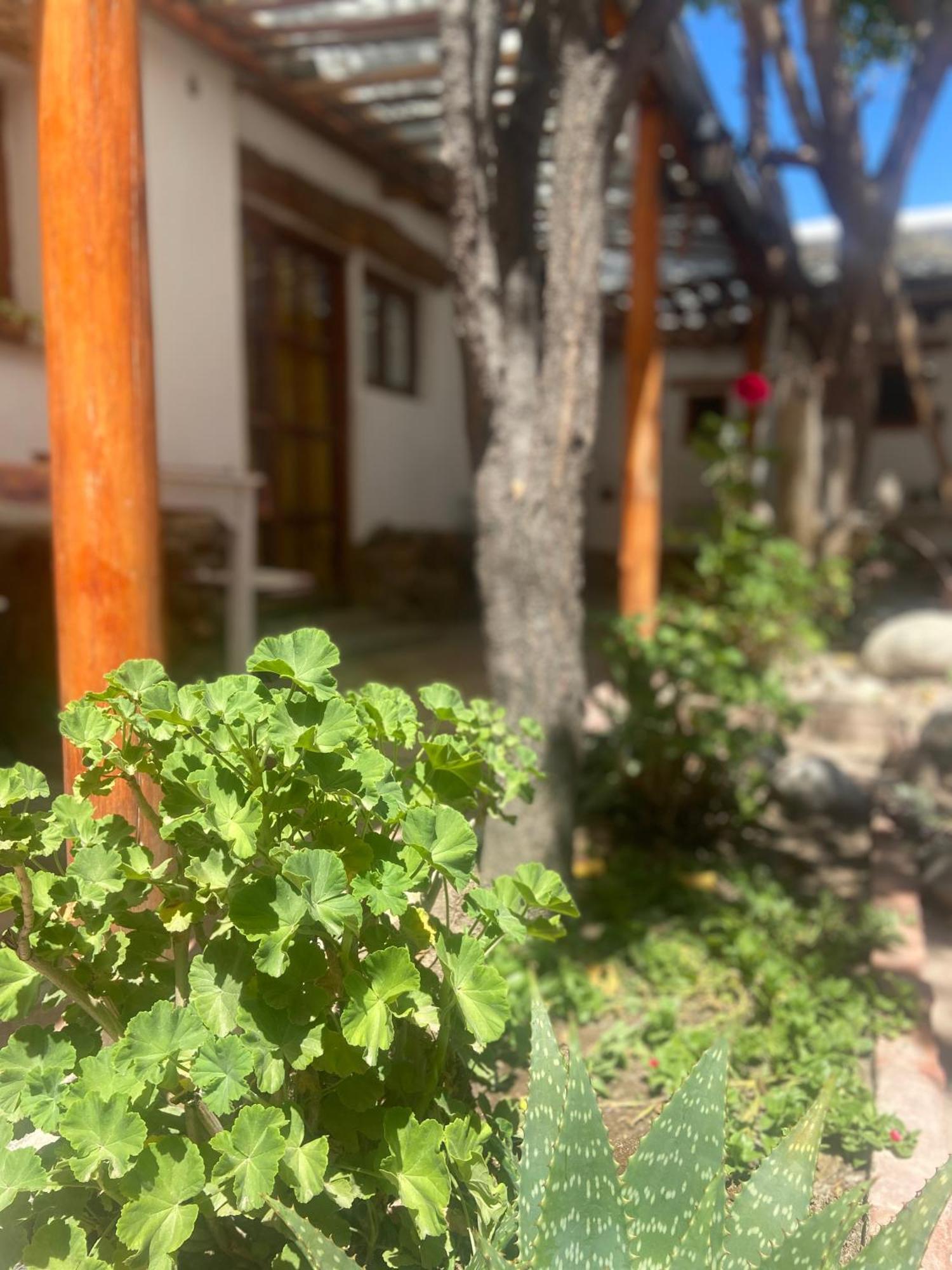 Hostal Tierra Andina Cafayate Dış mekan fotoğraf